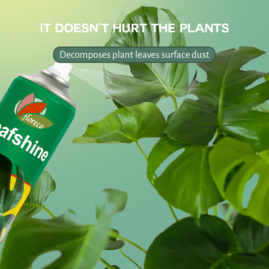 Leafshine Spray Plant Polish & Leaf Cleaner 600ml Glossy Leaf